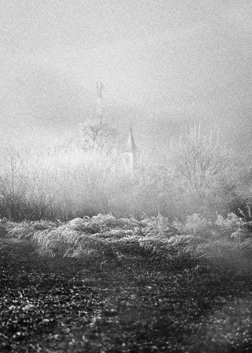 Large a1d62520 b598 454a a88c 3c5def196a79